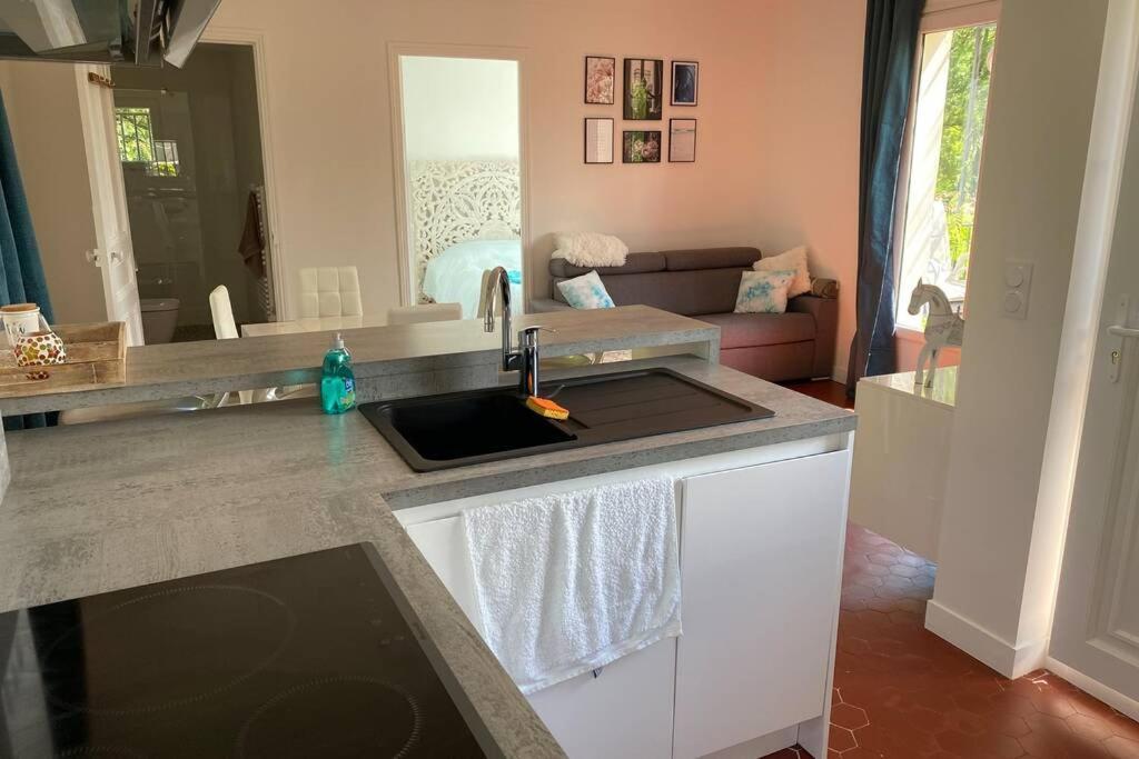Petite Maison De Charme - Le Jardin Secret D'Alice Roquebrune-sur-Argens Eksteriør billede