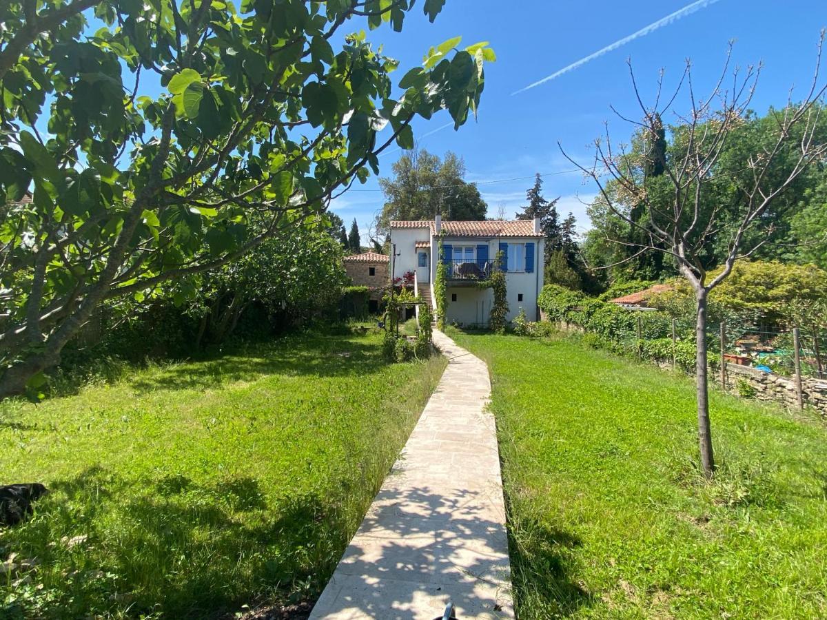 Petite Maison De Charme - Le Jardin Secret D'Alice Roquebrune-sur-Argens Eksteriør billede